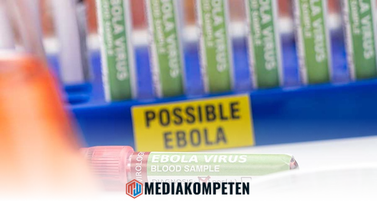 cluster (priority): MediaKompeten Response Measures and Challenges